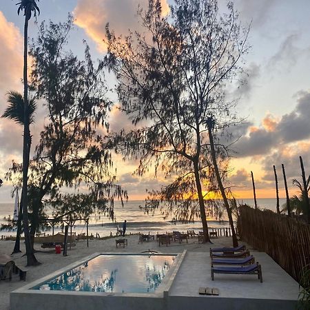 Drifters Zanzibar Vandrehjem Paje Eksteriør billede